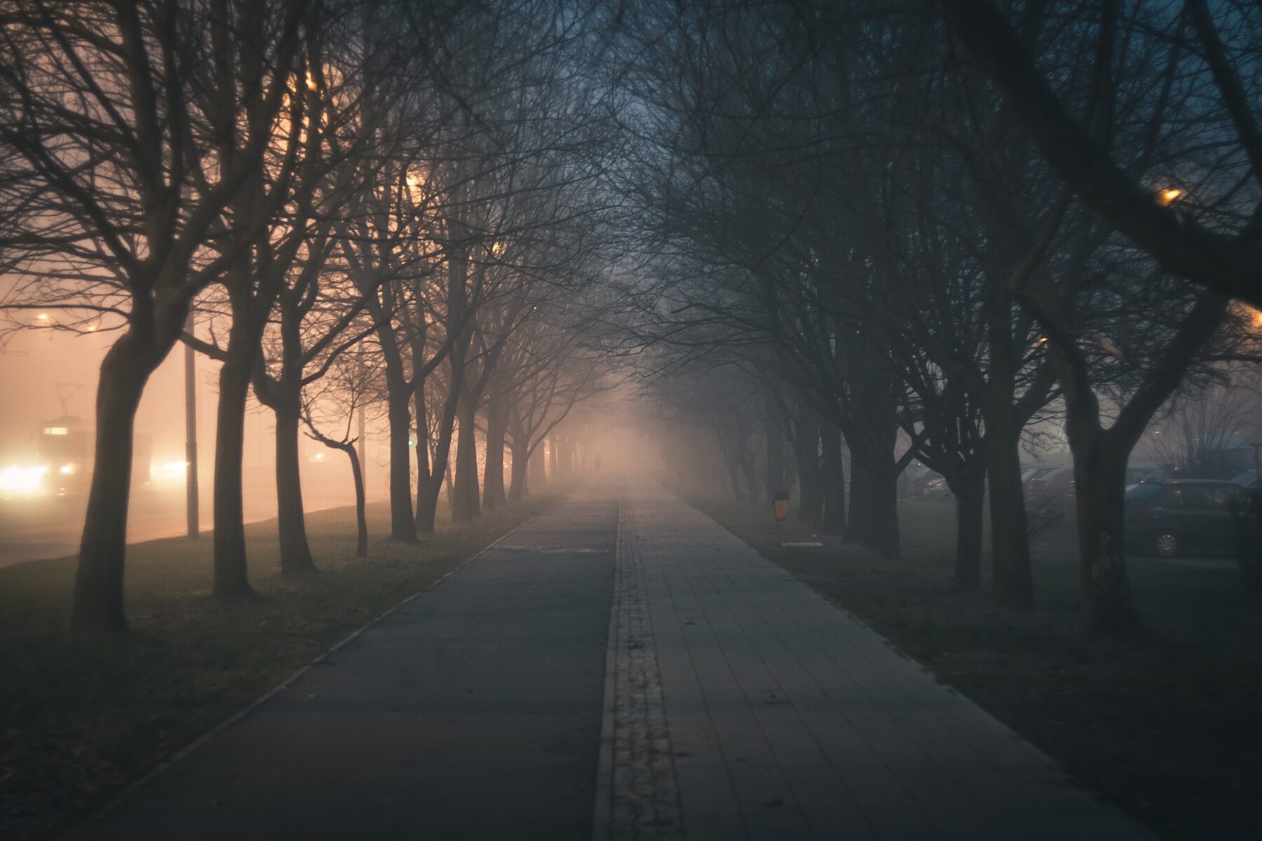 Paving systems are only as strong as their components. Substandard aggregates, poorly formulated asphalt, or imbalanced concrete mixes compromise structural cohesion. These flaws may not be immediately visible but will lead to premature cracking, water infiltration, and base destabilization.